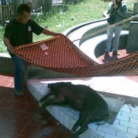 Kain Baru Untuk Babi Ngepet